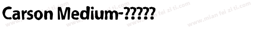 Carson Medium字体转换